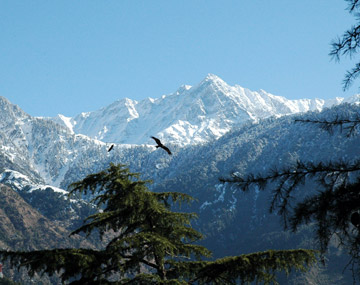 Dharamshala Weekend Break Tour Aahanatours